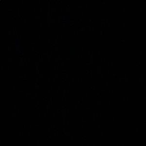 Meet your Posher, Alejandro